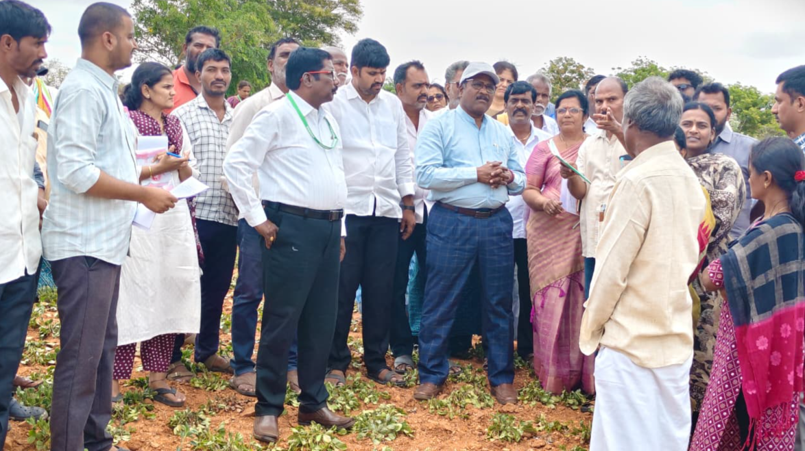 ఆచార్య ఎన్ జి రంగా వ్యవసాయ విశ్వవిద్యాలయం ఉపకులపతి అన్నమయ్య జిల్లా పంటల పరిశీలన